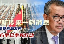 谭德赛最新爆料消息,揭秘疫情背后的惊人真相！”